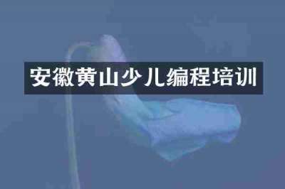 安徽黄山少儿编程培训
