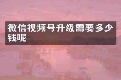 微信视频号升级需要多少钱呢