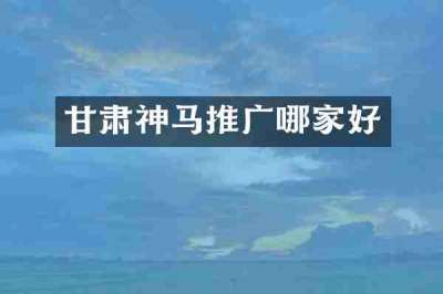 甘肃神马推广哪家好