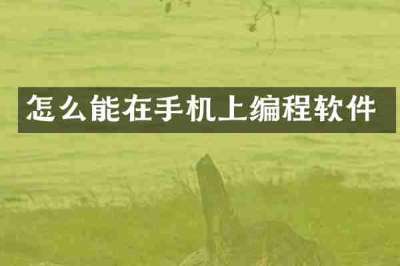 怎么能在手机上编程软件