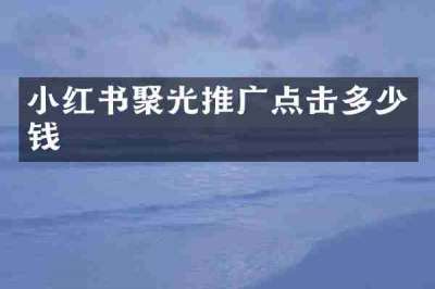 小红书聚光推广点击多少钱