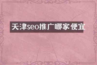 天津seo推广哪家便宜