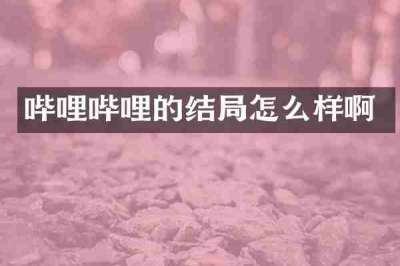 哔哩哔哩的结局怎么样啊