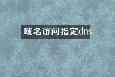 域名访问指定dns