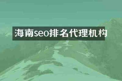 海南seo排名代理机构