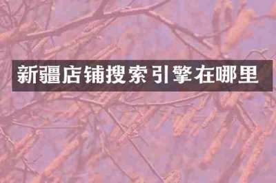 新疆店铺搜索引擎在哪里