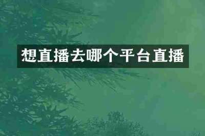 想直播去哪个平台直播