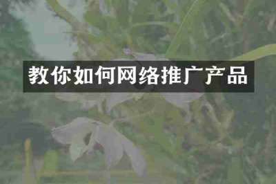 教你如何网络推广产品