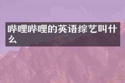 哔哩哔哩的英语综艺叫什么