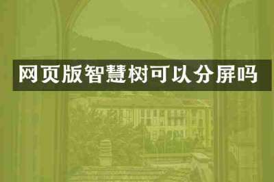 网页版智慧树可以分屏吗