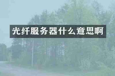 光纤服务器什么意思啊