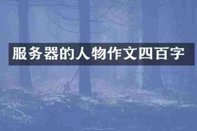 服务器的人物作文四百字