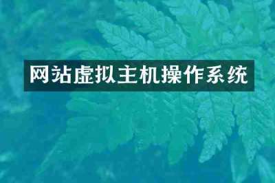 网站虚拟主机操作系统