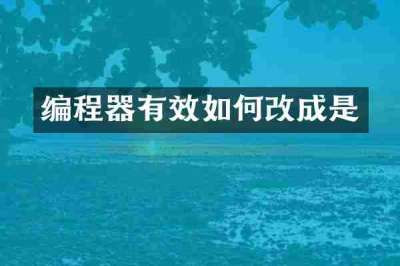 编程器有效如何改成是