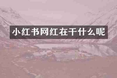 小红书网红在干什么呢