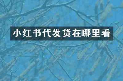 小红书代发货在哪里看