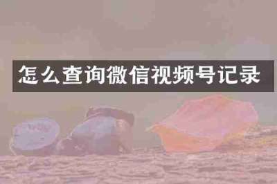 怎么查询微信视频号记录