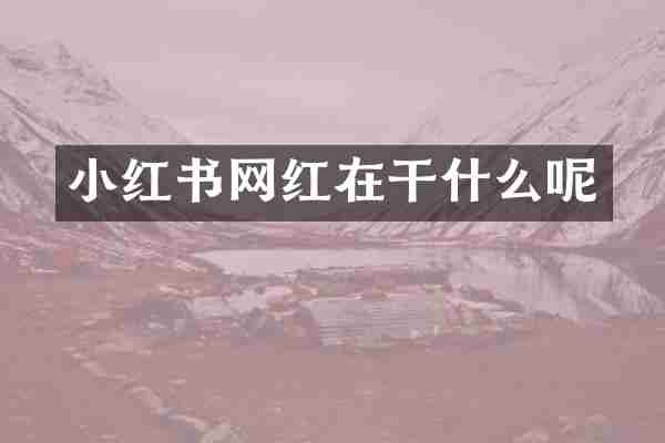 小红书网红在干什么呢