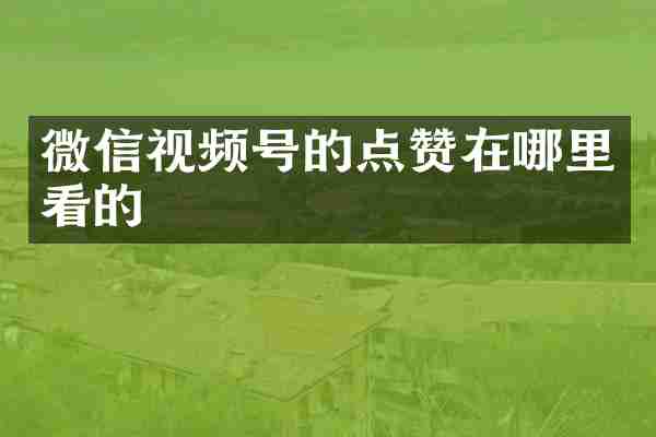 微信视频号的点赞在哪里看的