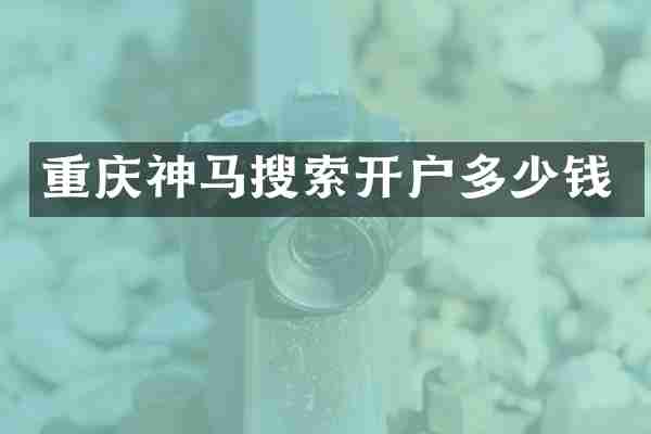 重庆神马搜索开户多少钱