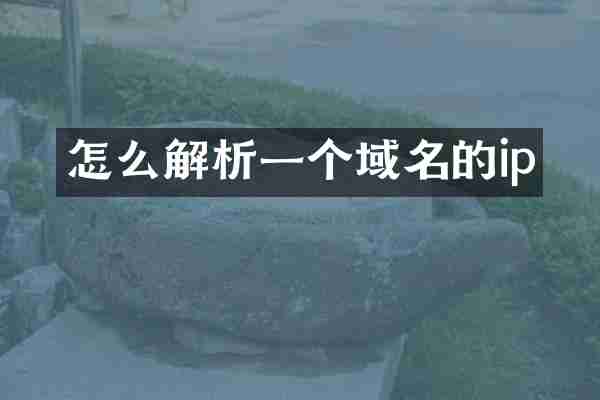 怎么解析一个域名的ip