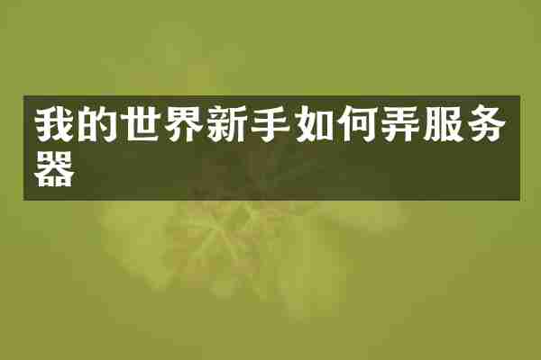 我的世界新手如何弄服务器