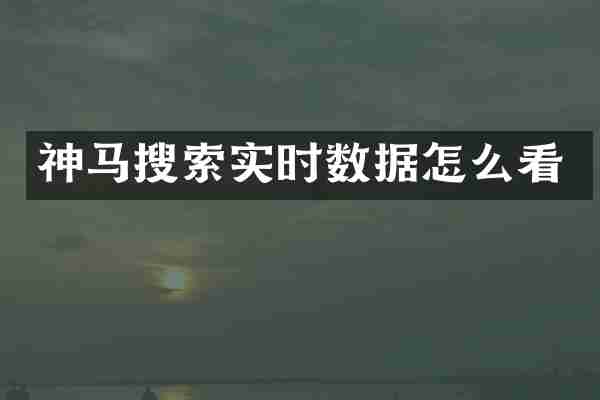 神马搜索实时数据怎么看