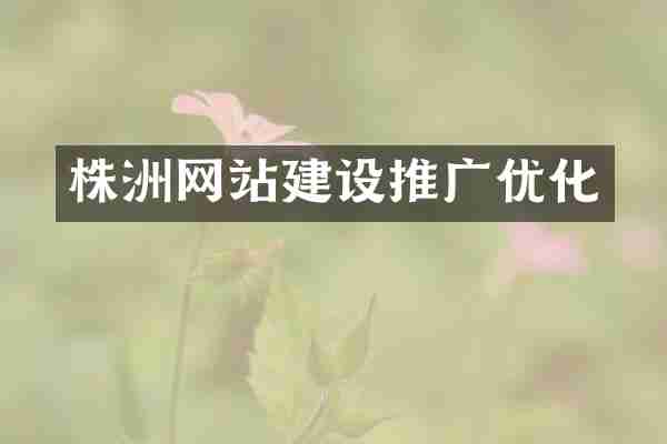 株洲网站建设推广优化