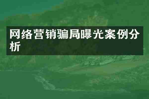 网络营销骗局曝光案例分析