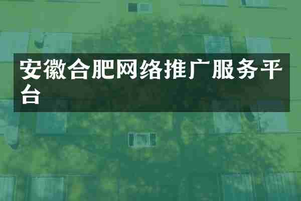 安徽合肥网络推广服务平台