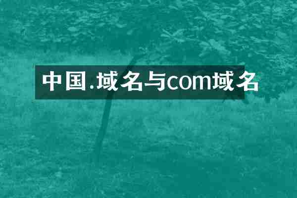 中国.域名与com域名