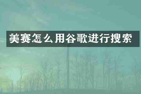 美赛怎么用谷歌进行搜索