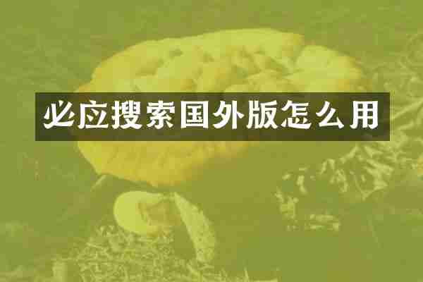 必应搜索国外版怎么用