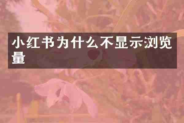 小红书为什么不显示浏览量