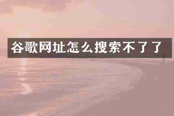 谷歌网址怎么搜索不了了