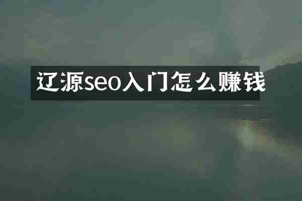 辽源seo入门怎么赚钱