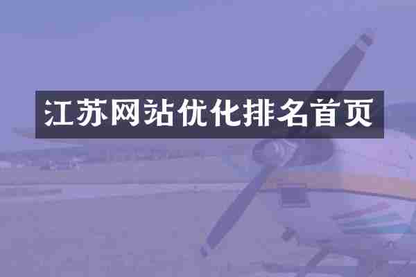 江苏网站优化排名首页