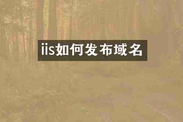 iis如何发布域名