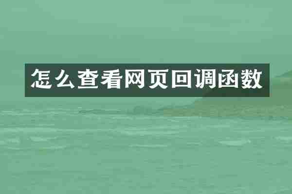 怎么查看网页回调函数
