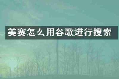 美赛怎么用谷歌进行搜索