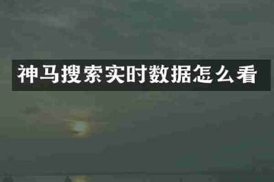 神马搜索实时数据怎么看