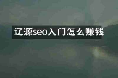 辽源seo入门怎么赚钱