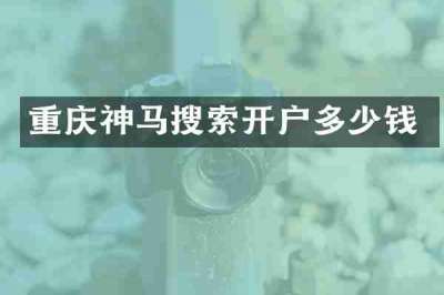 重庆神马搜索开户多少钱