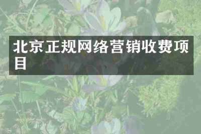 北京正规网络营销收费项目