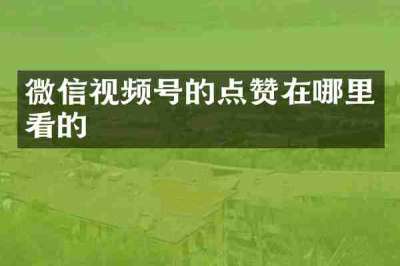 微信视频号的点赞在哪里看的
