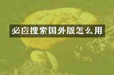 必应搜索国外版怎么用