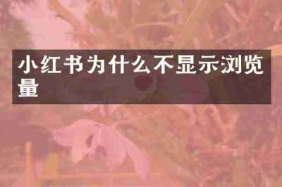 小红书为什么不显示浏览量