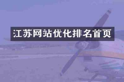 江苏网站优化排名首页