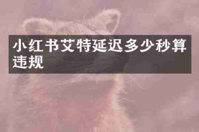 小红书艾特延迟多少秒算违规