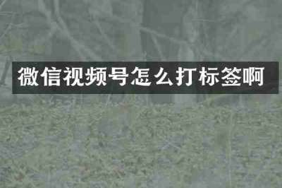 微信视频号怎么打标签啊